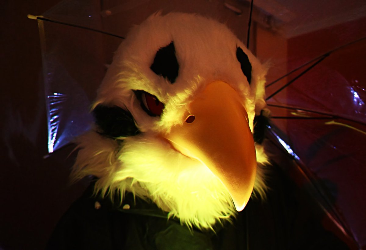 마타도르🔜FURSTCLASS tweet media