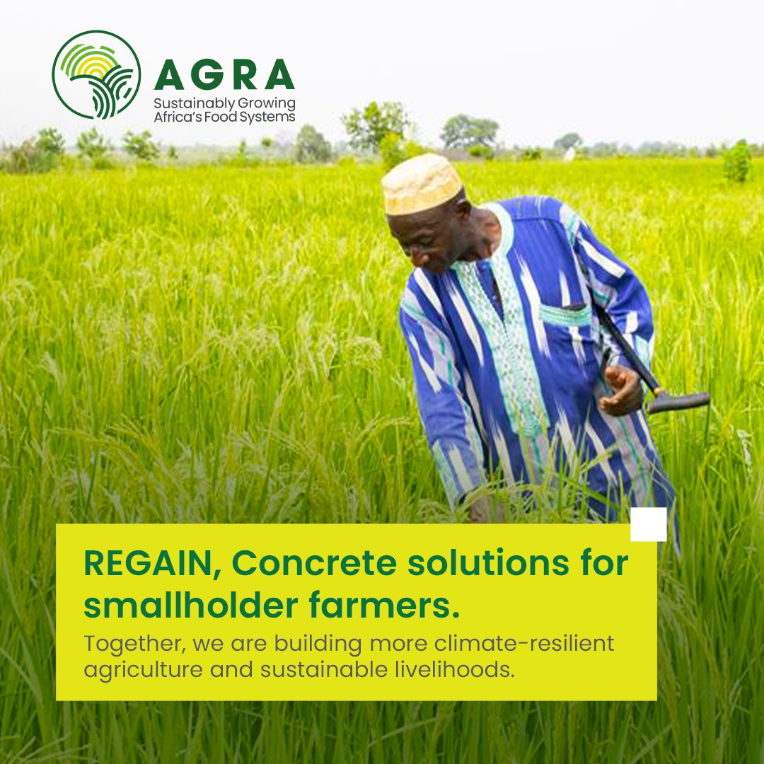 Up to 40% of food produced in Africa is lost after harvest impacting resources, deepening food insecurity, and fueling climate vulnerability.

In Burkina Faso, where post-harvest losses reach 35%, the #REGAINAfrica program is delivering climate-smart innovations to protect