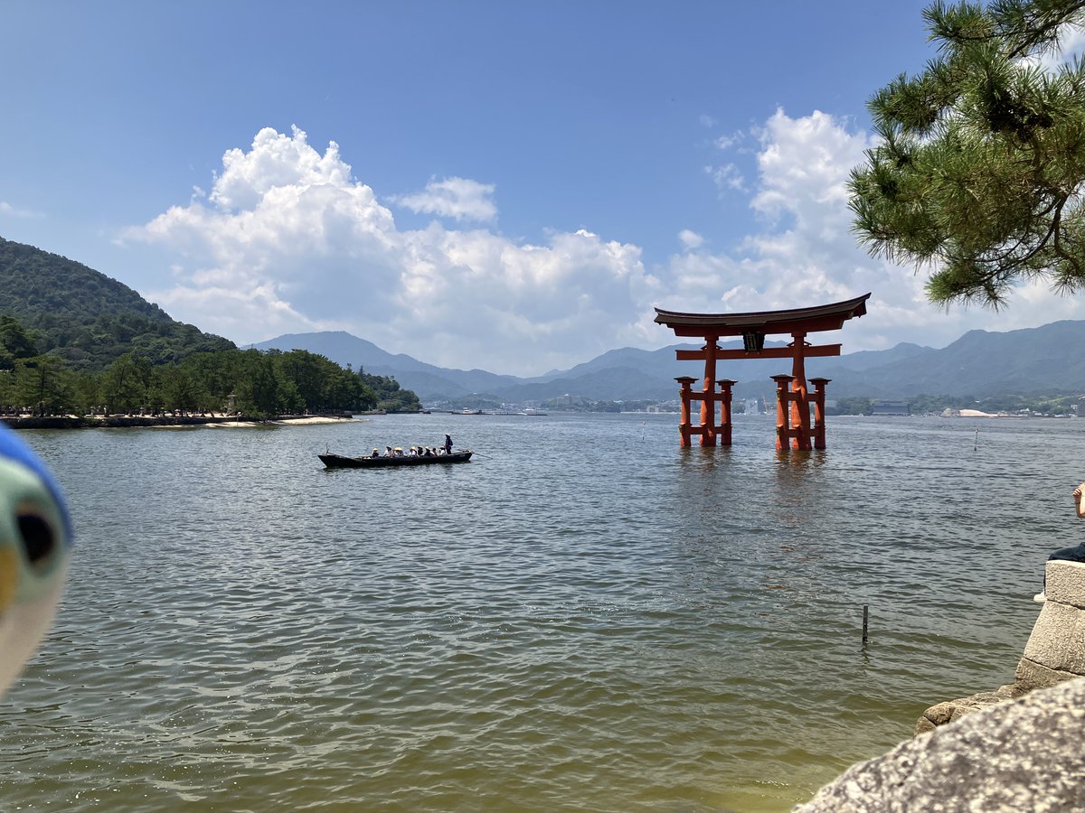 ブリ、大鳥居だよ
ブリは陸の生き物だからあんまり海の上には興味ないね