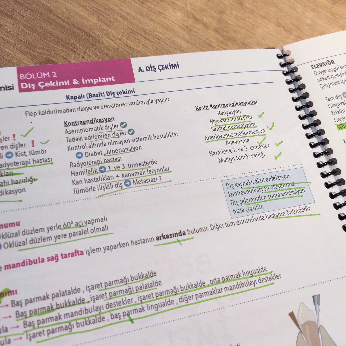 Dusa iki ay kalmış ufaktan basliyalim