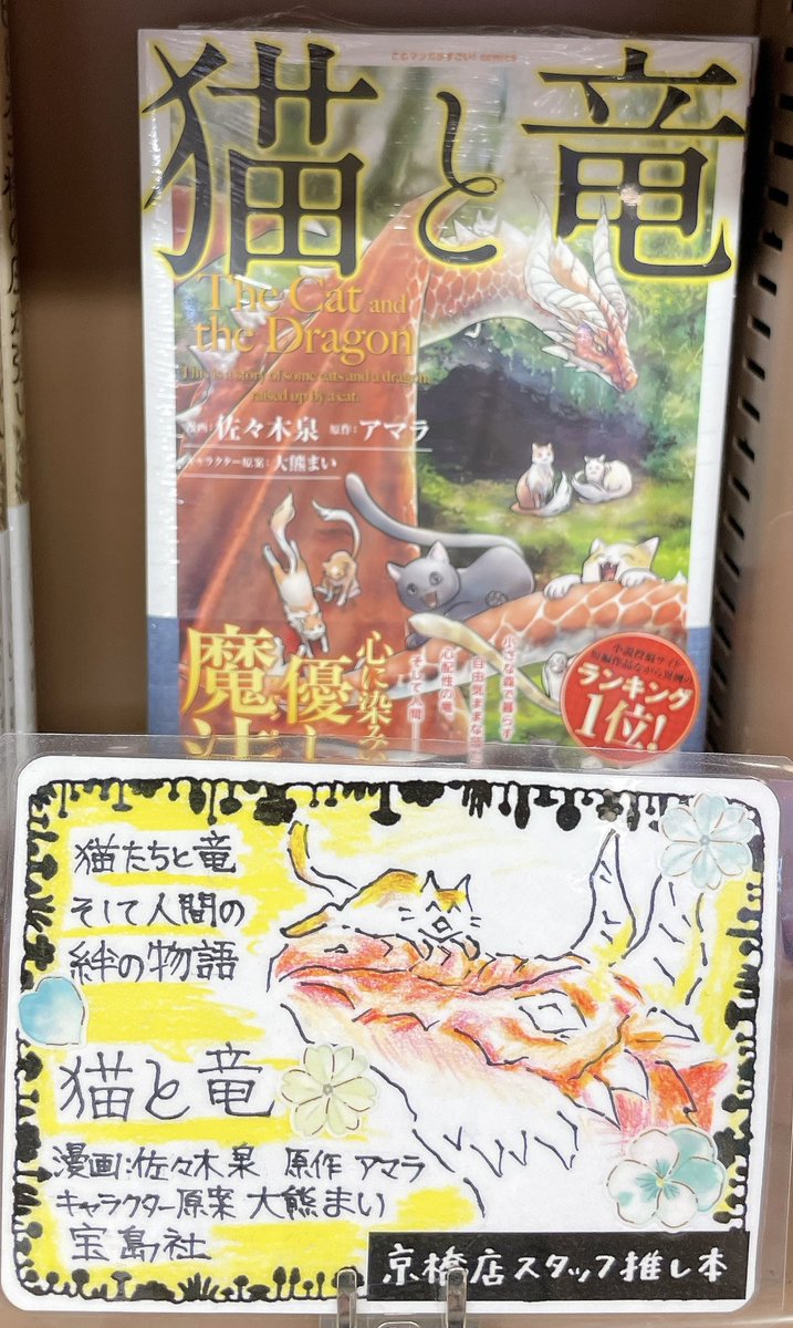 【#京橋店スタッフ推し本 フェア】
#推し本 紹介✨

『猫と竜』
漫画：佐々木泉先生
原作：アマラ先生
キャラ原案：大熊まい先生
宝島社

㊗️TVアニメ化決定！！

猫が好き🐈
竜が好き🐉
ファンタジーが好き📚
そんなあなたにピッタリの一冊です！

#猫と竜