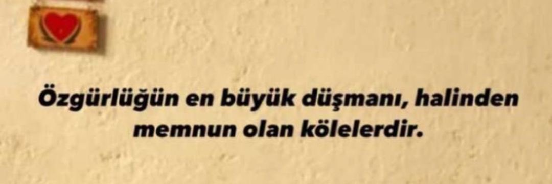 Pîroz bee ✌️

#15tebax