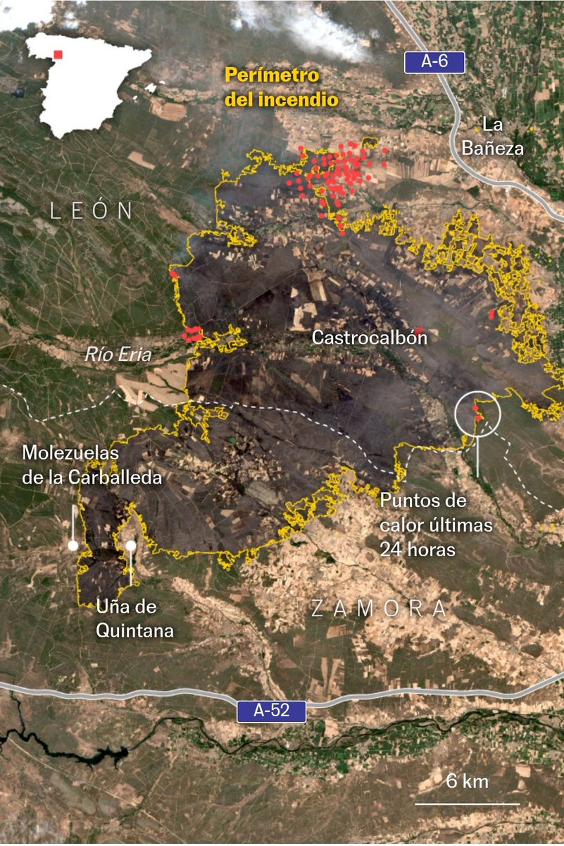 daniele grasso tweet media