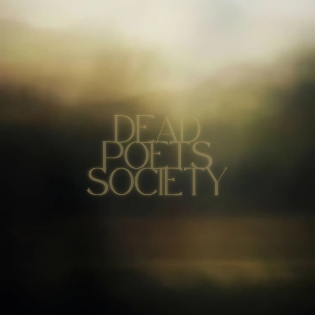 zenocodes's tweet image. ── .✦ ‧₊˚ ┊looking for #booktwt #filmtwt moots! 

-ˋˏ✄┈┈┈┈
⟢ zeno, 20+, she/they
⟢ fantasy, romance, crime/thriller/mystery, classics and poetry. 
⟢ slow reader :p
⟢ also lurking in f1twt and t1twt
-ˋˏ✄┈┈┈┈

♡/↻ to be moots!