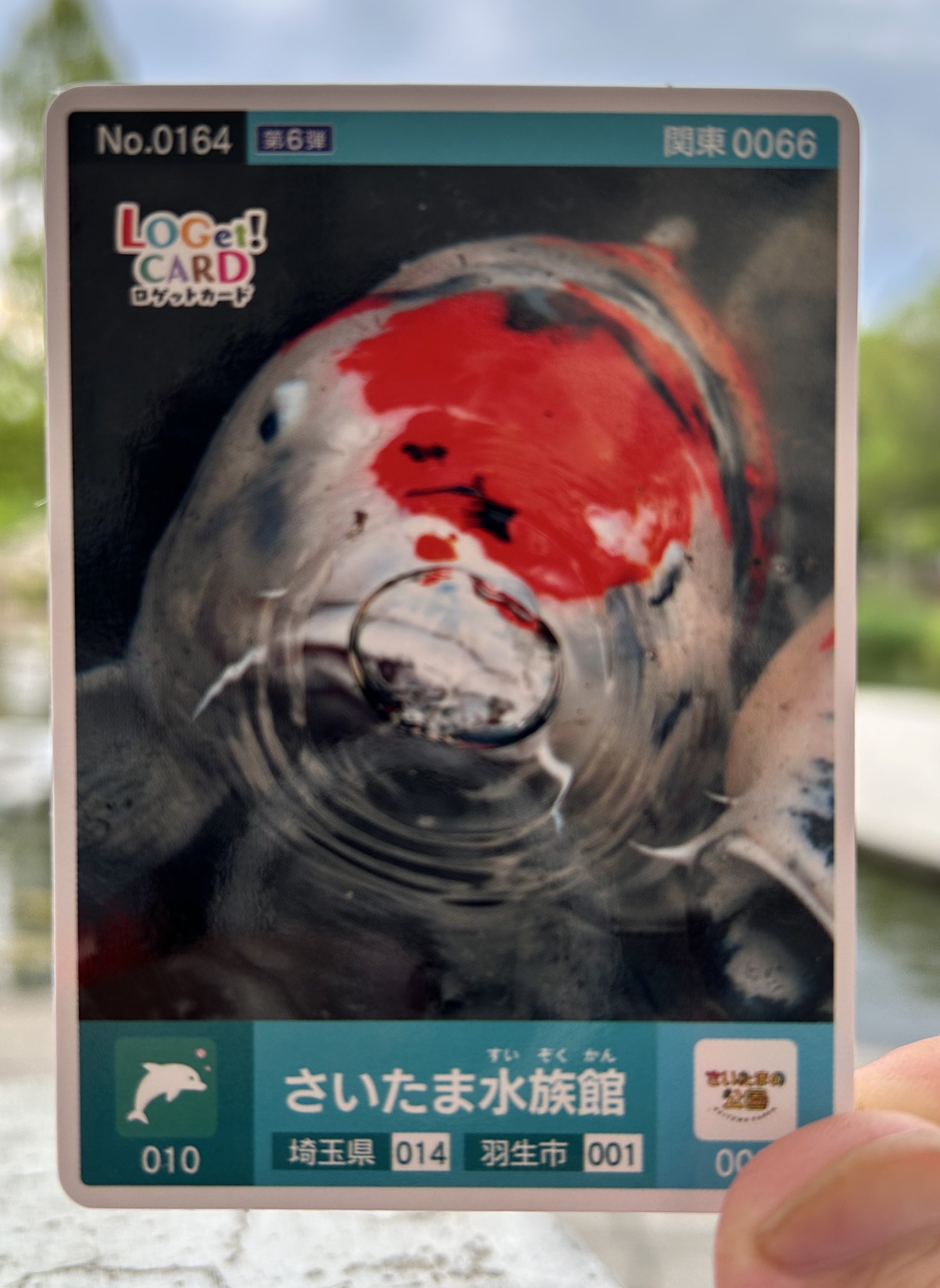 ★お値下げ★軍艦島　ロゲットカード　日本語　英語 軍艦島デジタルミュージアム ロゴカード ロゲットカード - メルカリ