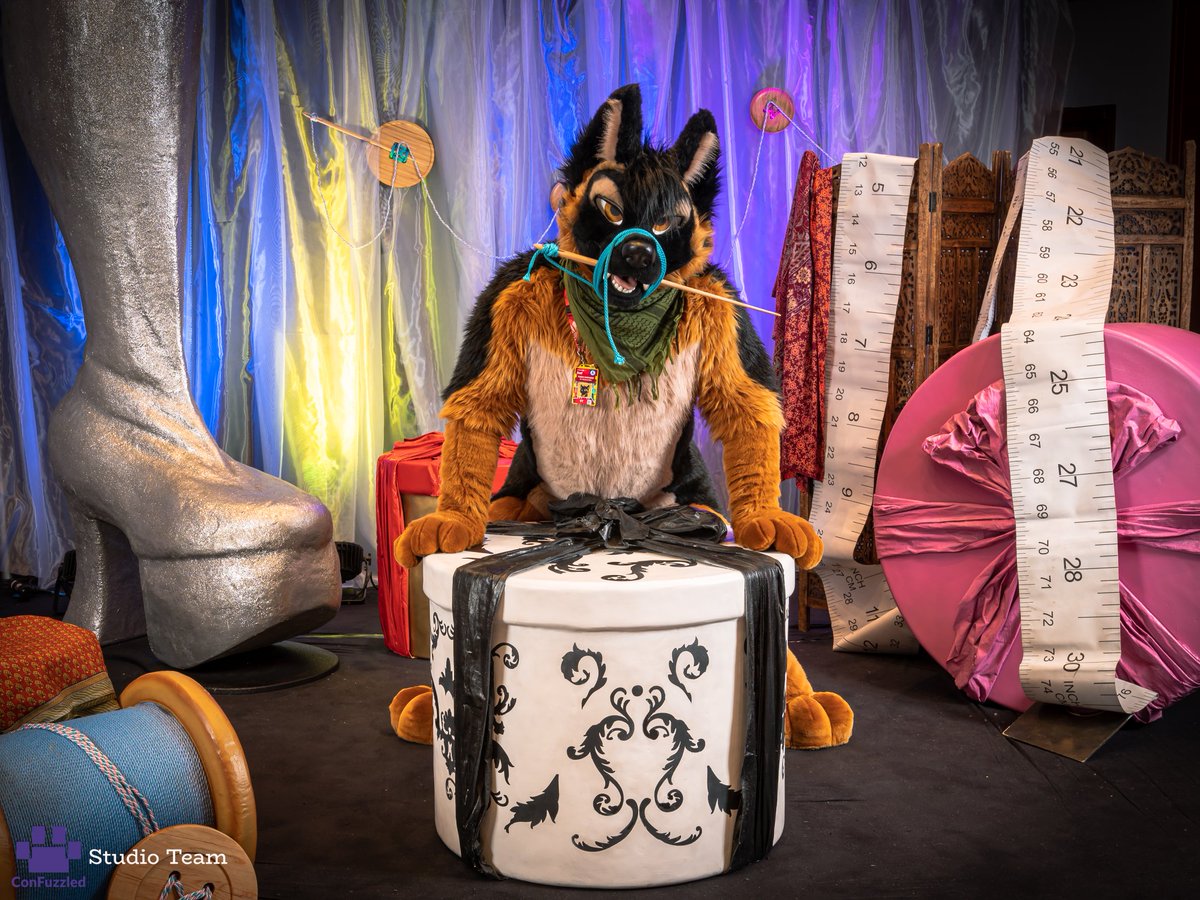 Oh it would seem I'm rather sewn up.. 
Why not come closer and give me a hand.. or paw..

#FursuitFriday
🪡 <a href="/MadeFurYou/">Made Fur You</a>
📸 The great CFz Photo team 
#furry #FursuitEveryday