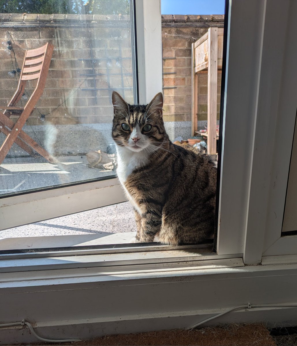 Beautiful Min in a reflective mood.