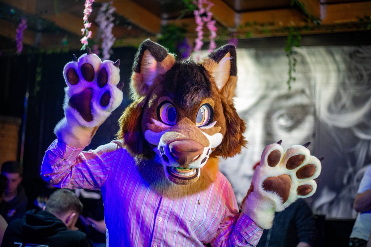 Kieran 🔜 Confuz (@coyotekieran) on Twitter photo My first #FursuitFriday
Genuinely can’t wait to take more photos & to be full suited 🥺
📸 - <a href="/Sparkypup_/">Spar.ky 🔜 Klub K9</a>
🪡 - <a href="/MadeByMercury/">Made By Mercury</a> My first #FursuitFriday
Genuinely can’t wait to take more photos & to be full suited 🥺
📸 - <a href="/Sparkypup_/">Spar.ky 🔜 Klub K9</a>
🪡 - <a href="/MadeByMercury/">Made By Mercury</a>