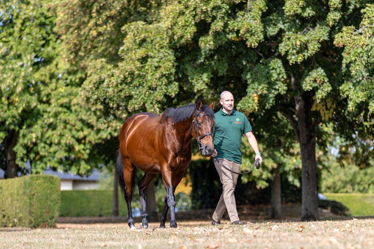 M3M_Racing's tweet photo. Bonjour from Deauville! 🇫🇷
A busy first day here capturing content at Arqana, the Aga Khan Stallion Parade, and Deauville Racecourse for the Arqana Series 📸
#M3Racing #ARQANASeries #Deauville https://t.co/62uBLAr2AJ