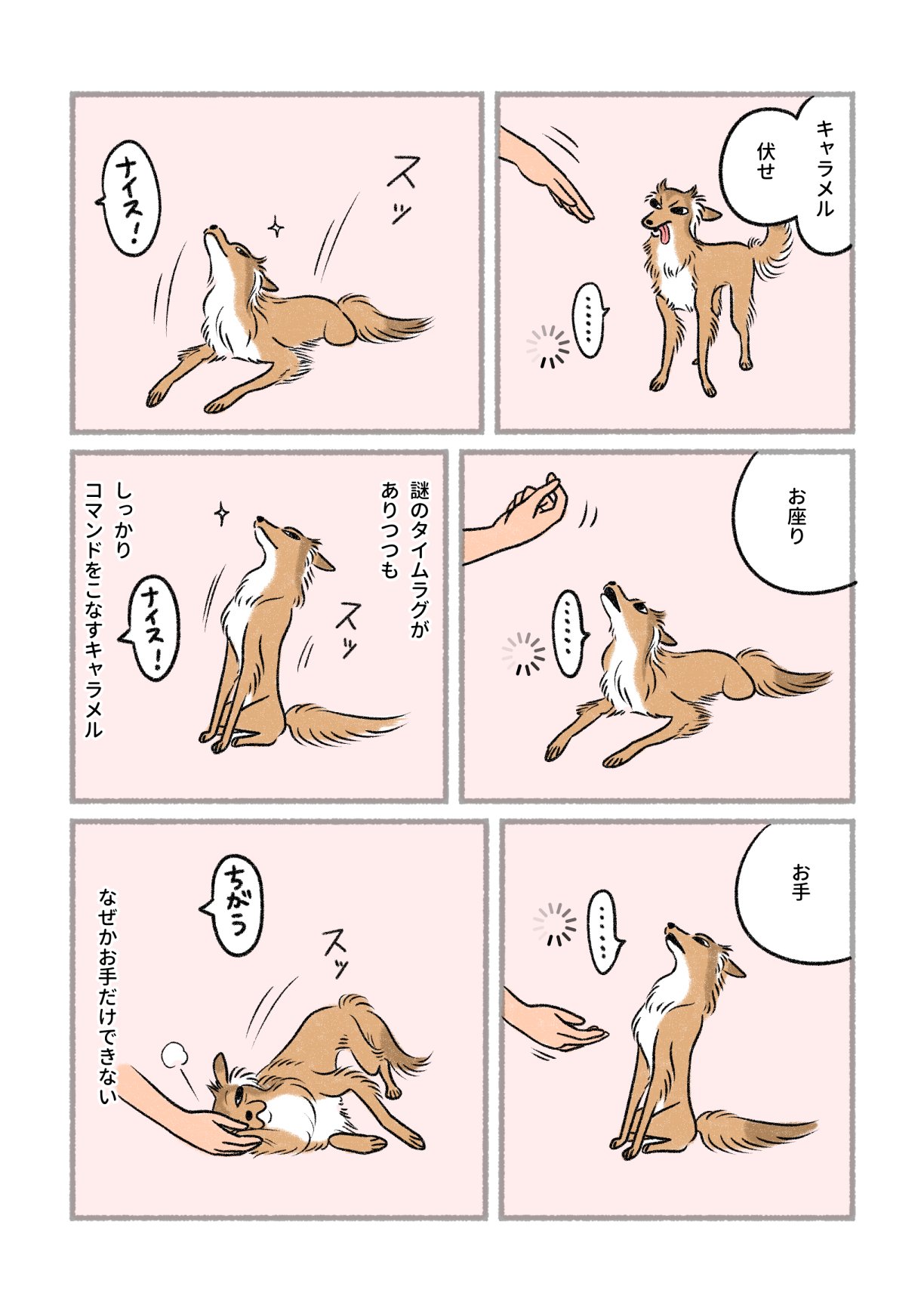 RAF Vaclav Jiru　バーツラフ・イーロ　猫　犬　写真集 RAF Vaclav Jiru バーツラフ・イーロ 猫 犬 写真集 RAF Vaclav