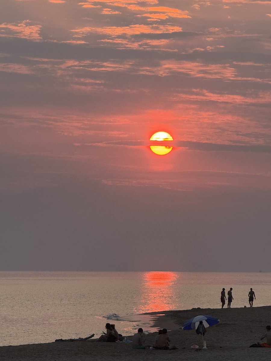 Вчера наслаждались закатом на диком пляже. Цветочки растут на сплошном песке. Красота и умиротворенность