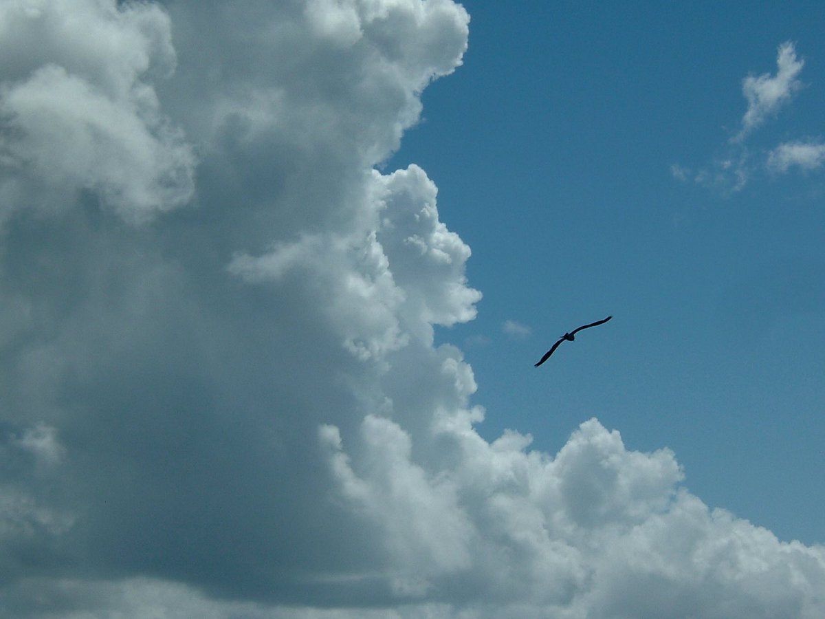 _epdl's tweet image. 짐 바이바리 싸들고 나와서 하루종일 구름만 관찰하기