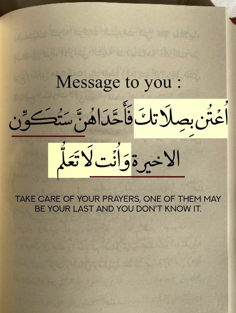 عالم كتب. tweet media