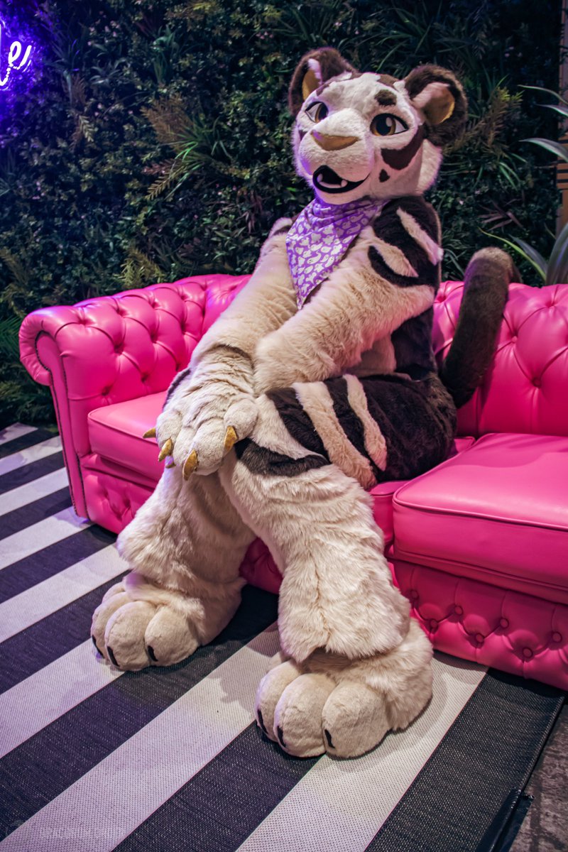 Una | Comms closed (@unapanthera) on Twitter photo Happy #FursuitFriday! 
📸 <a href="/DracorumOrder/">Dracorum Order 🧧</a> Happy #FursuitFriday! 
📸 <a href="/DracorumOrder/">Dracorum Order 🧧</a>