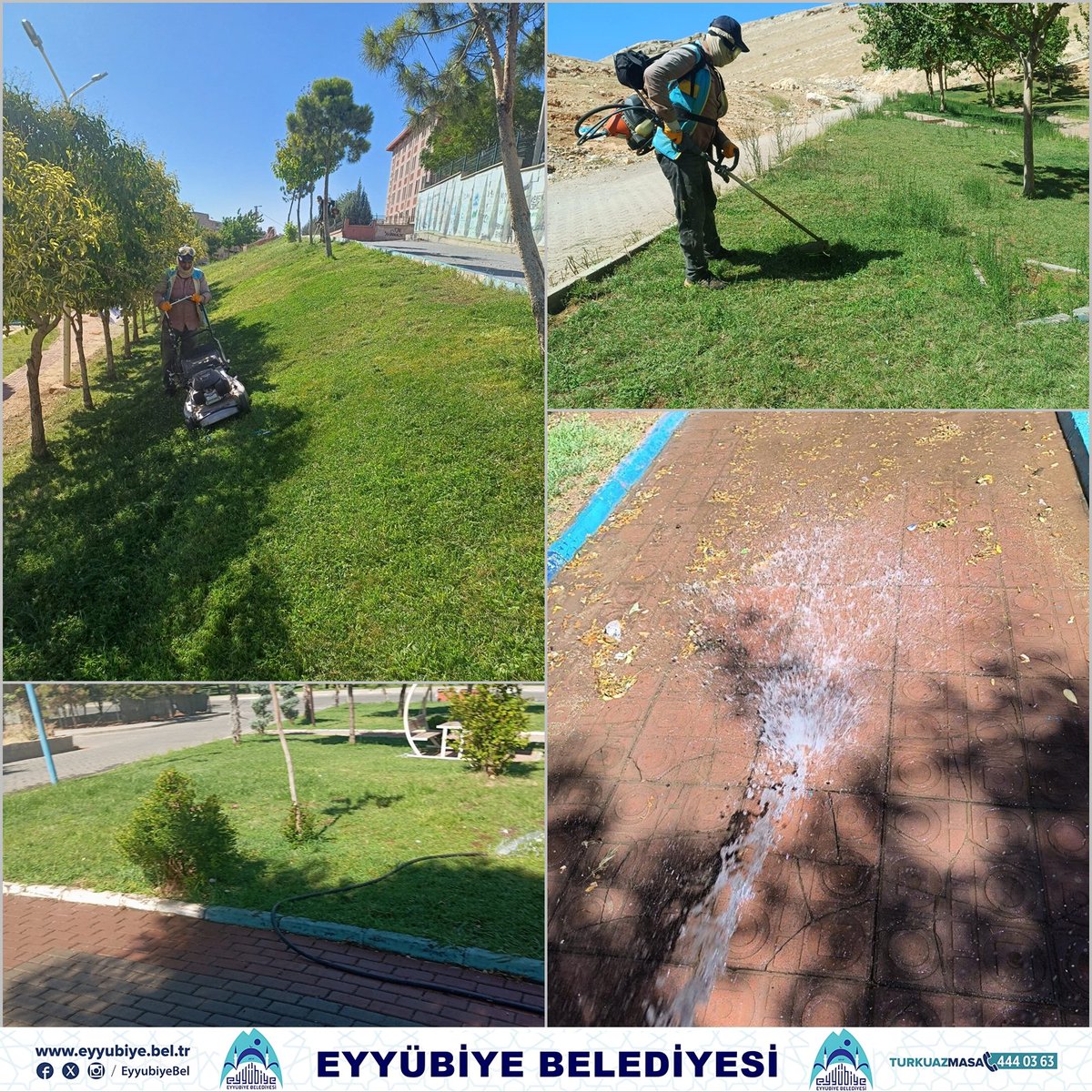 Parklarımızda  Bakım Çalışmaları devam ediyor!

Eyyübiye Belediyesi Park ve Bahçeler Müdürlüğü ekiplerimiz, ilçedeki parklarda kapsamlı bakım çalışmalarına devam ediyor.

Sert zemin yıkama, çim biçme ve suyun ulaşmadığı alanlara su takviyesi gibi çalışmalarla parkları,