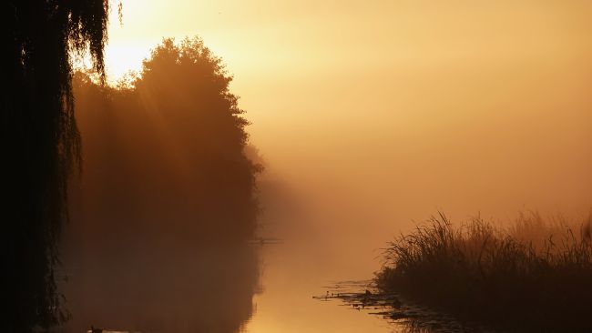 Vandaag Actueel Weer janvissersweer.nl/vandaag-actuee… Juli was gemiddeld iets te droog in ons land. Er viel circa 76 tegen normaal 83 mm. De verschillen waren echter groot: meer dan 120 mm in onder meer Flevoland en in het noordoosten (Donkerbroek 159 mm), aanmerkelijk te droog in het