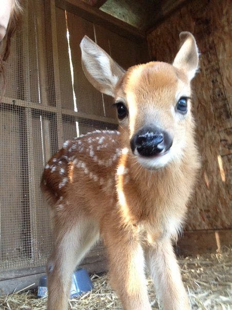 .                                        초딩?
                                              \/