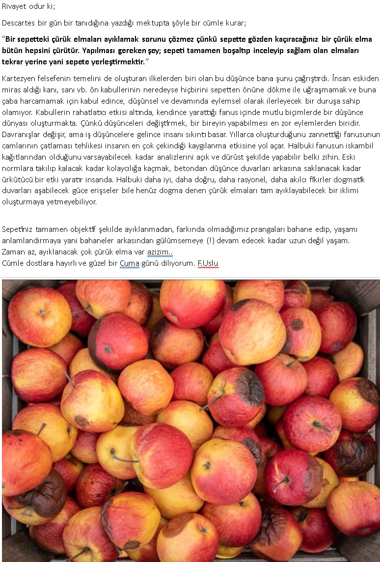 FERHAT USLU tweet media