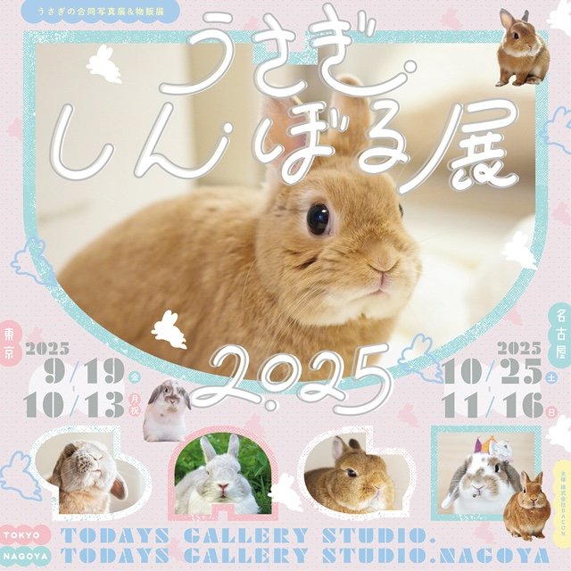 UsagiInterior's tweet photo. うさぎしんぼる展　2025
東京と名古屋開催です👏🏻
今年も出品させていただきます✨🪡

📍会場：todays gallery studio.
📅期間：東京　9月19日(金)〜10月13日(月・祝)
名古屋　10月25日(土)～11月16日(日)

📎詳細はこちら → https://t.co/OZlwFJ5rAG

#うさぎしんぼる展 https://t.co/ooR06iVh3i