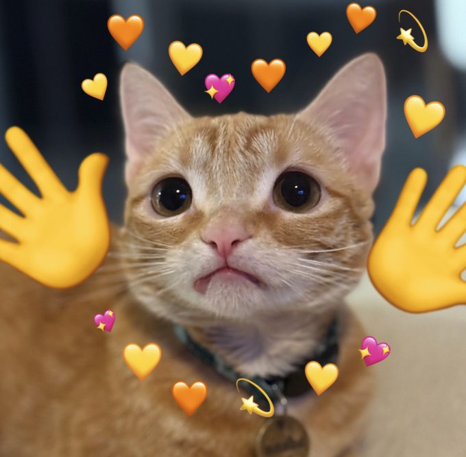 Skorer 💫 tweet media