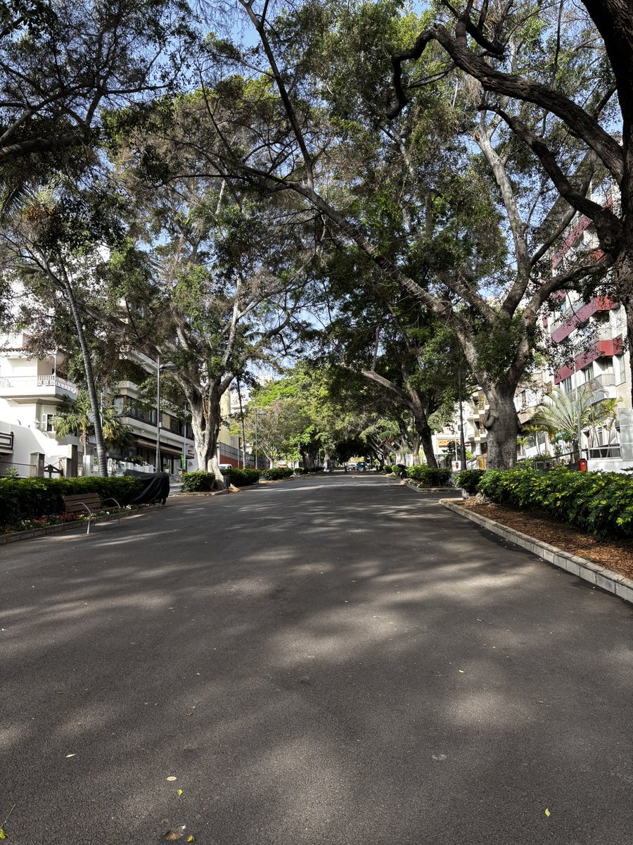 Buenos días Santa Cruz . Feliz viernes ☀️☀️☀️

<a href="/EmocionesCan/">Emociones Canarias</a> <a href="/wandwoo/">Desde mi corazon</a> <a href="/elpaiscanario/">EL PAÍS CANARIO</a> <a href="/yconsumocanario/">Yo Consumo Canario 🇮🇨 🌴</a> <a href="/TeneriFeliz/">TeneriFeliz ☀️⛱️ ❤️</a> <a href="/VisitaVen/">Ven de Visita a Tenerife</a> <a href="/Urbanaga1/">Urbanaga</a> <a href="/CONTUNDENTEE/">Francisco Guerra Sandoval. 🏴󠁧󠁢󠁳󠁣󠁴󠁿</a> <a href="/de1969/">maría lapas</a>