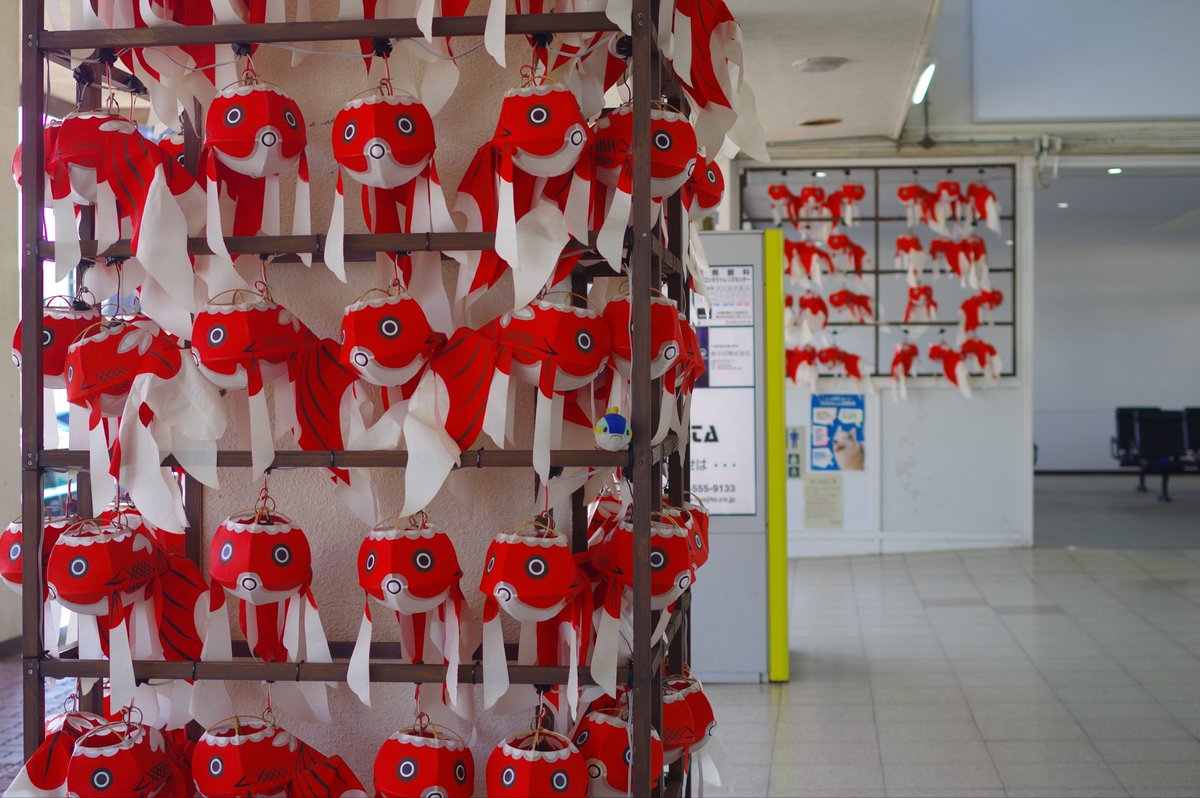 ブリ、金魚だよ
取り囲まれているね