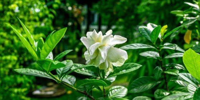 y_2001n's tweet photo. #𝓨𝓸𝓾𝓼𝓲𝓯_ظروفك الخاصة لك وحدك …
وأدبك في الكلام حق للجميع …
لا تخلط مشاكلك وظروفك النفسية …
بتعامل�� مع الآخرين.

جمعة طيبة مُباركة
#𝓨𝓸𝓾𝓼𝓲𝓯_𝓝_𝓜𝓸𝓱𝓮𝓶𝓮𝓭 https://t.co/ucWskQUQs0