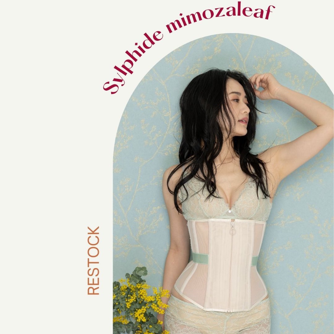 Enchanted Corset (@CorsetEnchanted) / X
