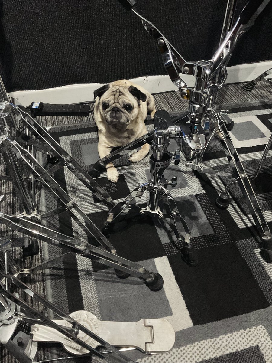 SoundARC Studios tweet media