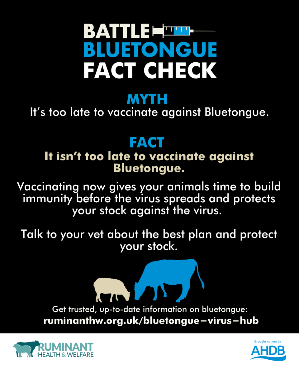 It’s not too late to vaccinate!
Hear why from a panel of industry experts and farmers on the latest #BattleBluetongue webinar, which is now available to listen back to online. 
🔗 Visit the RH&amp;W BTV-3 webinar library: bit.ly/4eGPoRB to watch again

#DoNotWaitVaccinate
