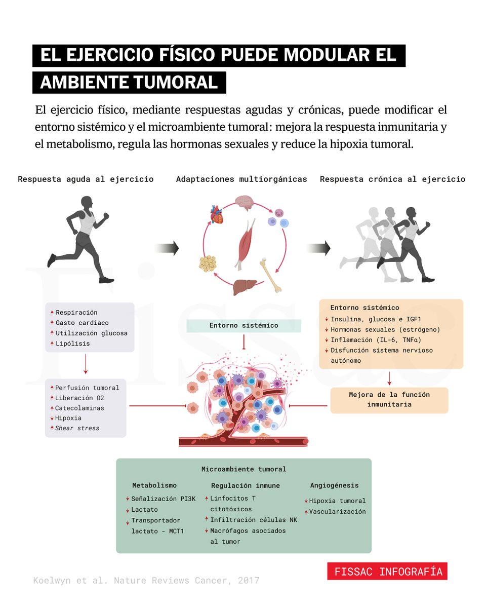 🔴 Artículo recomendado

El ejercicio físico ha demostrado que es capaz de conseguir muchos de los beneficios que te puedas imaginar para un paciente: mejorar el consumo máximo de oxígeno (VO₂max) —no olvidemos que es el mejor predictor de mortalidad, por encima de factores como