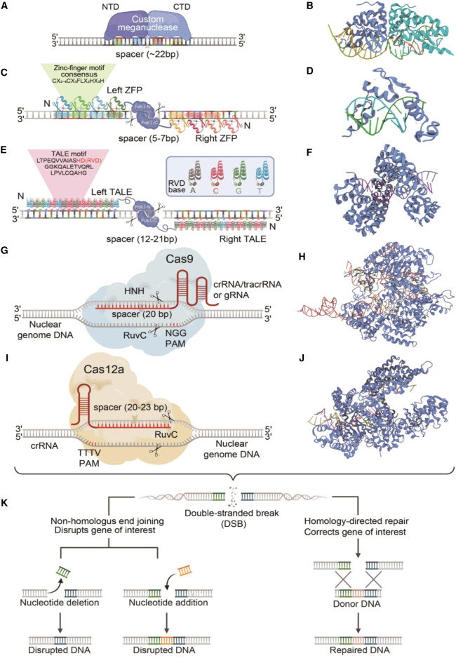 Cell Press (@cellpressnews) on Twitter photo Programmable genome engineering and gene modifications for plant biodesign
hubs.li/Q03CjkrM0
August featured review article from #PlantCommunications (<a href="/MPlantPCom/">Molecular Plant & Plant Communications</a>) Programmable genome engineering and gene modifications for plant biodesign
hubs.li/Q03CjkrM0
August featured review article from #PlantCommunications (<a href="/MPlantPCom/">Molecular Plant & Plant Communications</a>)
