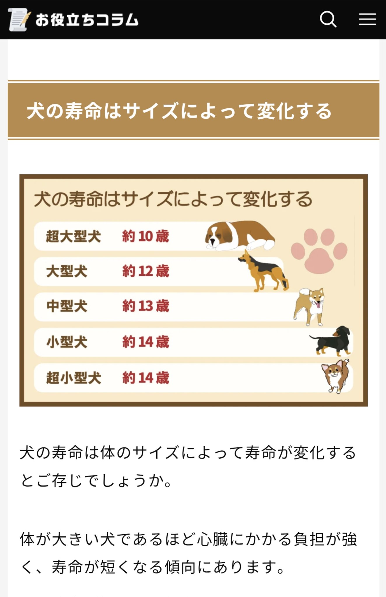 よくわからない犬のアミーボです よくわからない犬のアミーボです