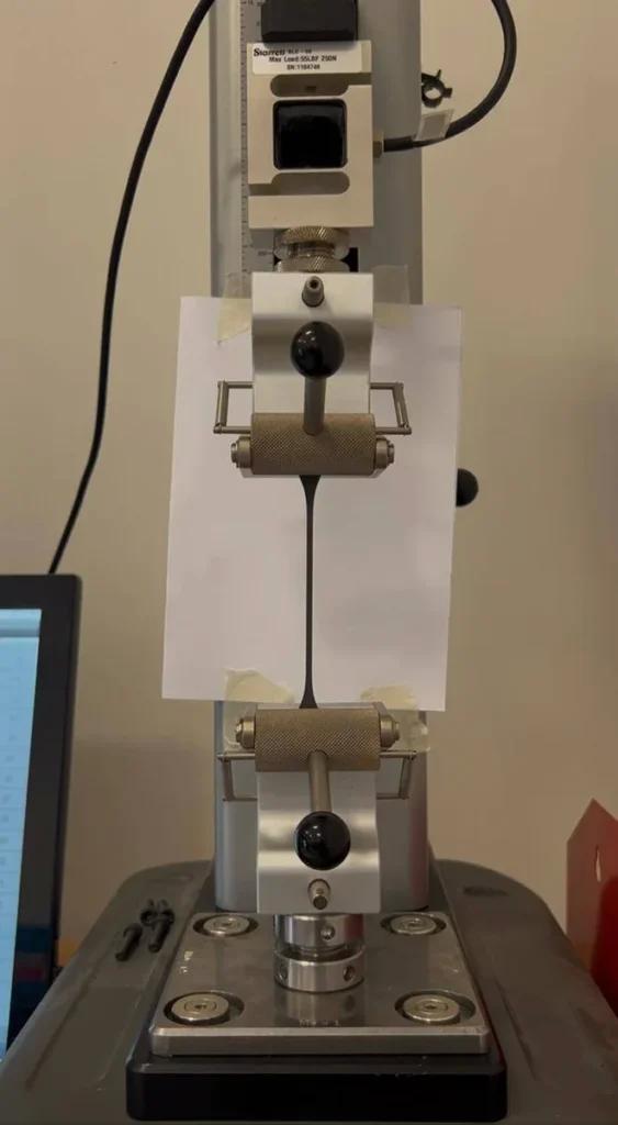 MAESTRI_DN tweet media