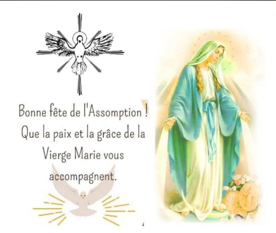 Bonjour, Je vous souhaite