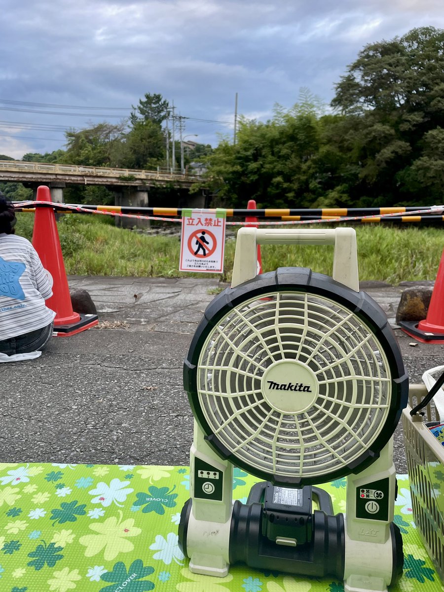 orange1200's tweet photo. 今年も、 https://t.co/jJNBoeJcVe