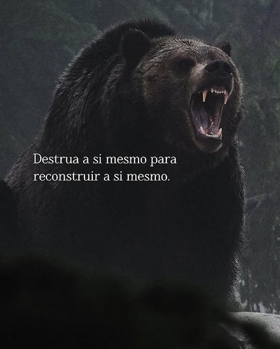 Frases (@privacidades) on Twitter photo 