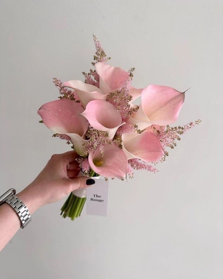 i3Moment's tweet photo. Calla lilies https://t.co/5iH3rgNkNo