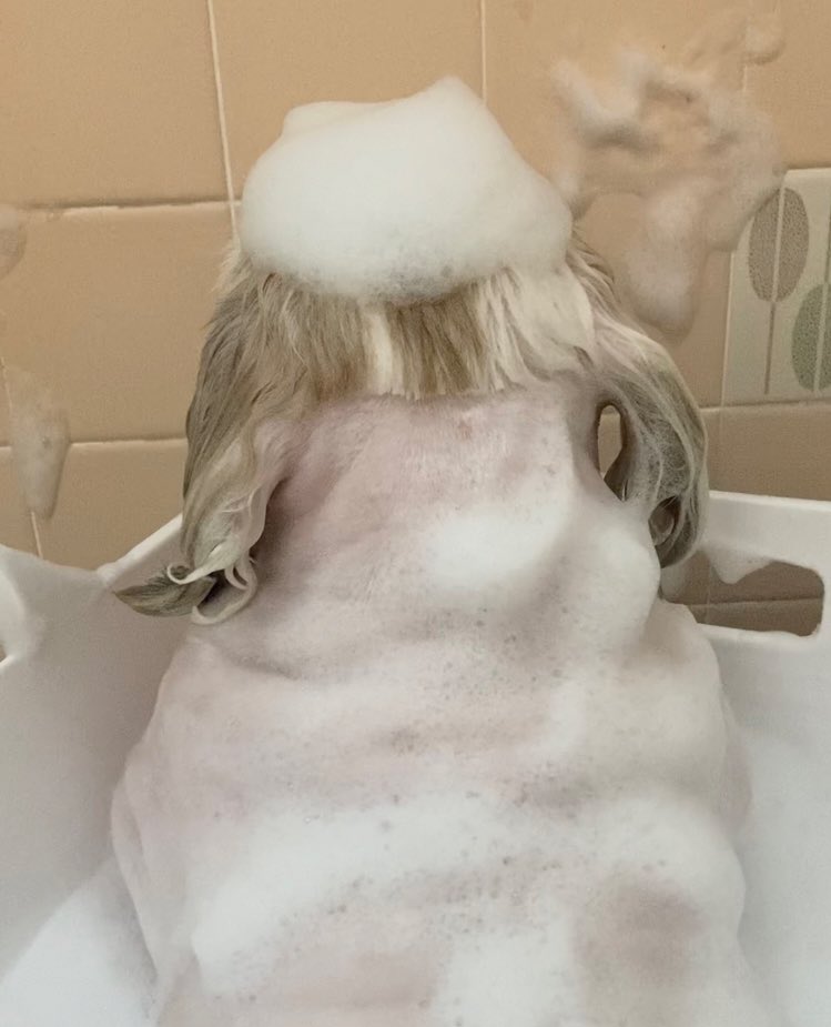 夏でも肩までお湯につかろうね