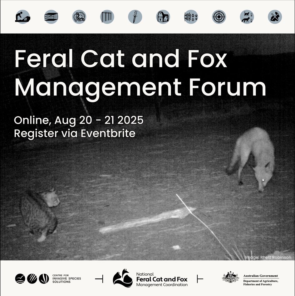 NFCFMC's tweet photo. Free Online Fox Mgmt forum 20 Aug. keynotes: Ben Allen, Ethics &amp; Welfare, Greg Mifsud, Total Predation Pressure.
Case studies: Fitz-Stirlings WA, Mansfield Vic, Minjerribah QLD, Southern Ark, Sunshine Coast Council, &amp; Perth SW Metro Alliance. Tools. Q&amp;As. Link in comments. https://t.co/ClvJ2ECW1k