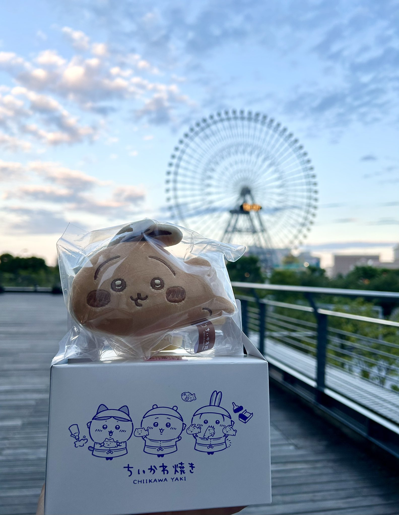 chikomaro (@chhyoy3) / X