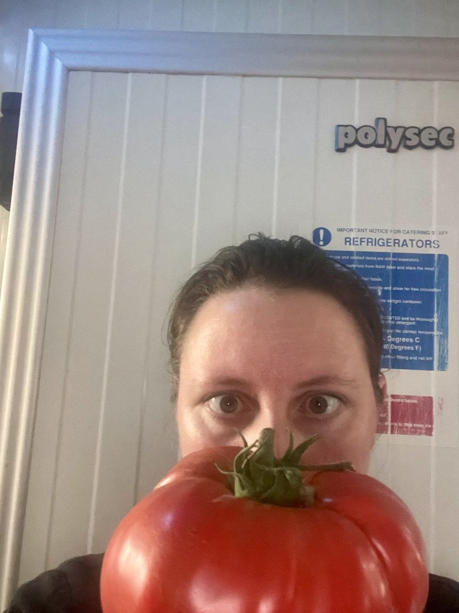 BunburyArmsPub's tweet photo. When your lovely customers bring you HUMONGOUS tomatoes!!! π©π»βπ³π
#supportlocal #homegrown #happychef https://t.co/VmOOvatfRQ
