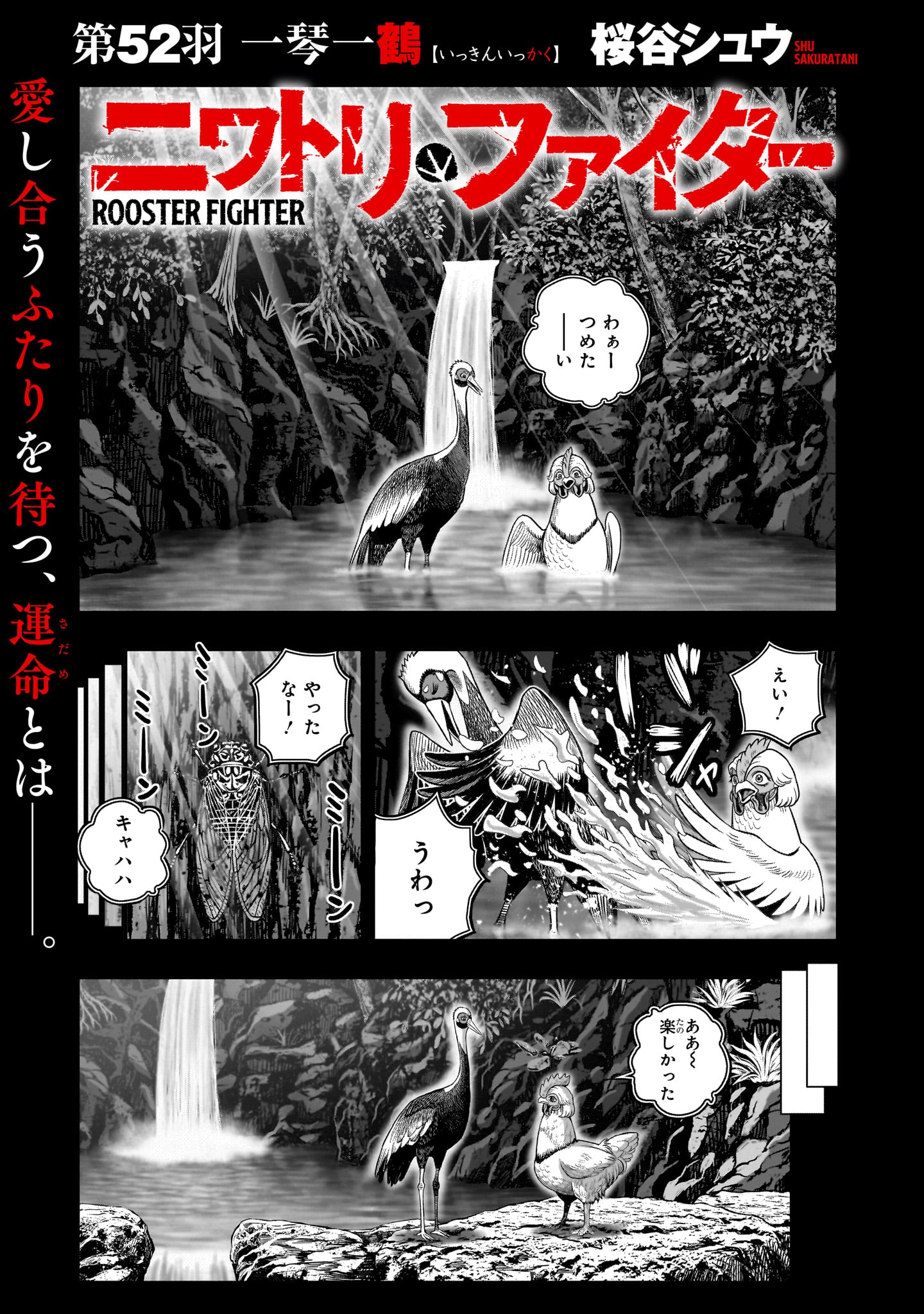 桜谷シュウ ニワトリ・ファイター 1巻 サイン本 桜谷シュウ ニワトリ・ファイター 1巻 サイン本