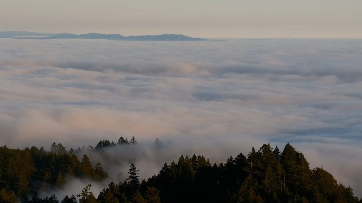 KAI (@lfk_dsk) on Twitter photo 