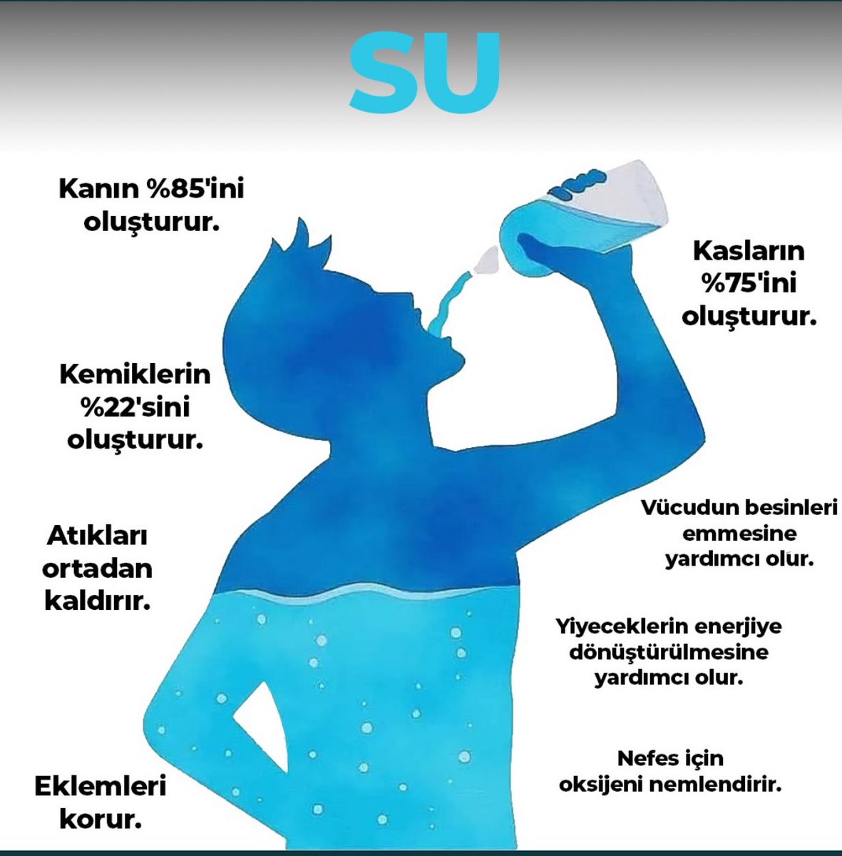 Günaydın☀️