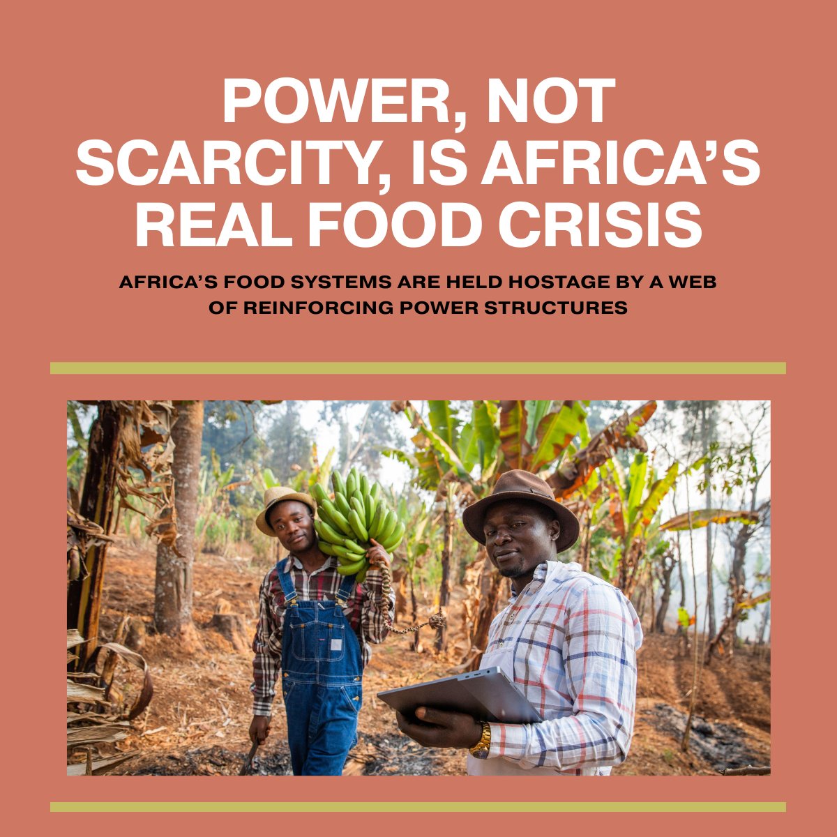 Million_Belay's tweet photo. Power, Not Scarcity, Is Africa’s Real Food Crisis.

Why are so many Africans hungry in lands rich with biodiversity and farming traditions?  The problem isn’t just climate change or technology gaps; it’s power.

Today, Africa’s food systems are held hostage by a web of reinforcing power structures. At the center are a group of actors that dominate seeds, fertilizers, markets, and narratives. These actors don’t just provide products; they shape narratives. They define what counts as “modern” agriculture, push genetically modified seeds, and lobby for laws that criminalize the saving of indigenous seed varieties. They promise yield, but deliver dependence.

Read my insights in the full article here: https://t.co/4mCiqkqEA0 
 
#FoodSovereignty #Agroecology #Africa #PowerNotScarcity #AFSA #UNDP #WiltonPark