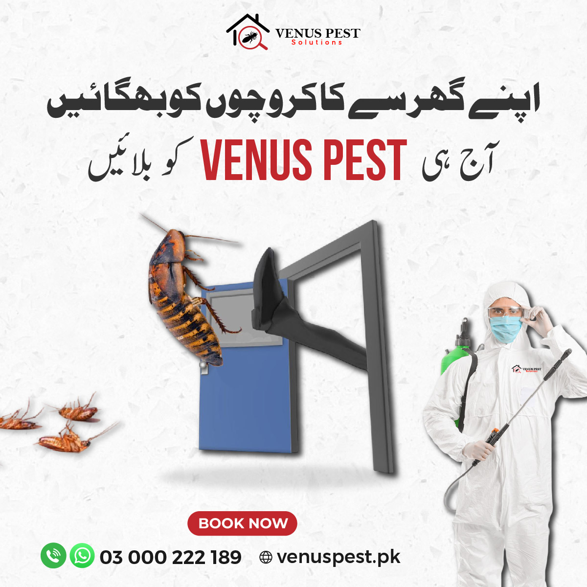 venus39537's tweet image. Kick cockroaches out of your home today! 
Call Venus Pest Solutions for fast, effective, and long-lasting pest control services.
📞 03 000 222 189
🌐 venuspest.pk
#VenusPestSolutions #PestControl #CockroachFreeHome #SafeHome #ProfessionalPestControl #HealthyLiving