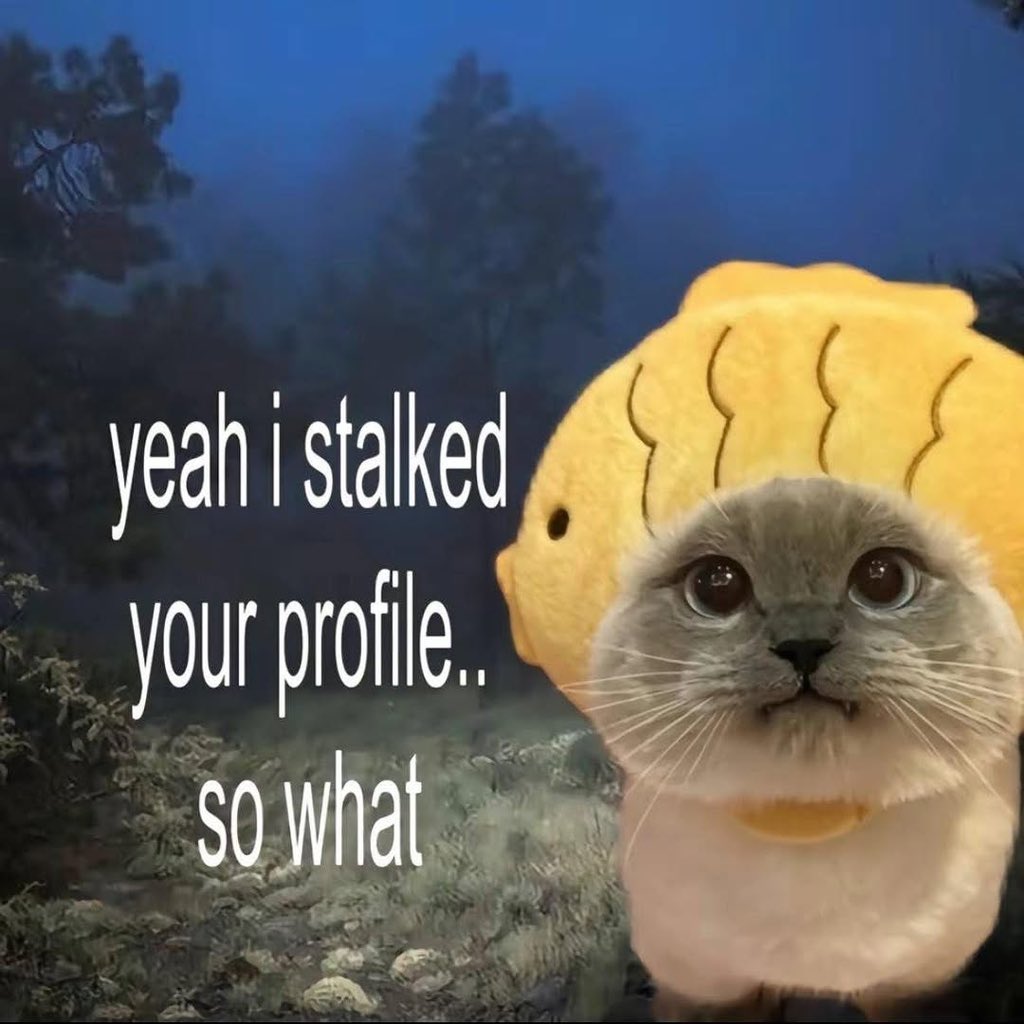 Miaw (@miaw) on Twitter photo 