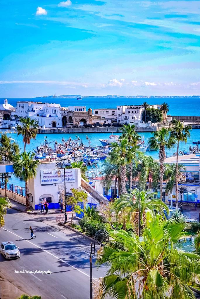 منظر الاميرالية، ميناء الجزائر العاصمة