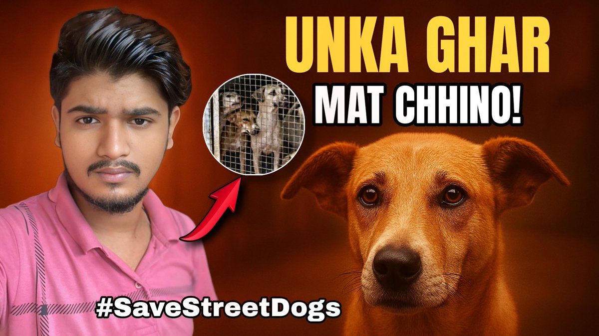 PrathamPaswan01's tweet photo. Uploaded guys 😩
Link- https://t.co/bbtxF8DUQK

#StreetDogsMatter #JusticForDogs #delhidogs #staydogfreeindia #SaveStreetDogs #AnimalWelfare #VoiceforVoiceless #prathampaswan https://t.co/KWFakFvhZX
